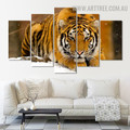 Real Puss Snow Modern 5 Piece Split Animal Art Image Canvas Print for Room Wall Trimming