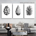 Shape Pine Cone Botanical Vintage Painting Picture 3 Panel Canvas Prints for Room Wall Disposition