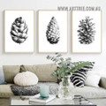 Shape Pine Cone Botanical Vintage Painting Picture 3 Piece Canvas Wall Art Prints for Room Embellishment