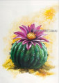 Cactus Plant Abstract Botanical Modern Heavy Texture Artist Handmade Framed Stretched Flower Art