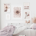 Pink Dahlia Blossom Floral 5 Piece Art Scandinavian Canvas Print Photograph Abstract For Room Wall Outfit