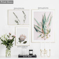 Protea Daffodil Leaves Minimalist Floret 3 Panel Set Modern Painting Photograph Canvas Print Home Wall Adornment