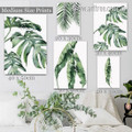Banana And Turtle Leafage Leaves Botanical Minimalist 5 Multi Panel Stretched Rolled Modern Painting Set Photograph Canvas Print for Room Wall Arrangement