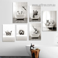 Penguins Elephant Bear Tiger Animal Bird Modern Rolled Stretched Photograph 6 Piece Set Canvas Online Prints Australia For Room Wall Art Decor