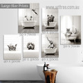 Penguins Elephant Bear Cat Modern Animal 6 Multi Panel Bird Painting Set Photograph Rolled Stretched Canvas Print for Room Wall Equipment