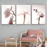 Order Online 6 Popular Wall Art Canvas Prints Sunshine Coast Australia