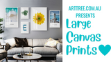 Large Canvas Prints Video