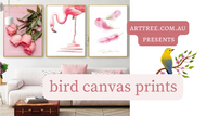 Bird Canvas Prints Video