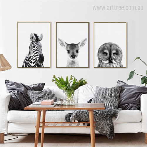 Kawaii Zebra, Fawn, Owl Animal Cute Photo Canvas Prints