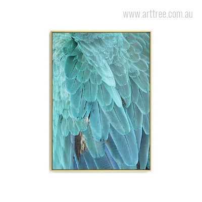 Turquoise Color Abstract Bird Feathers Wall Art