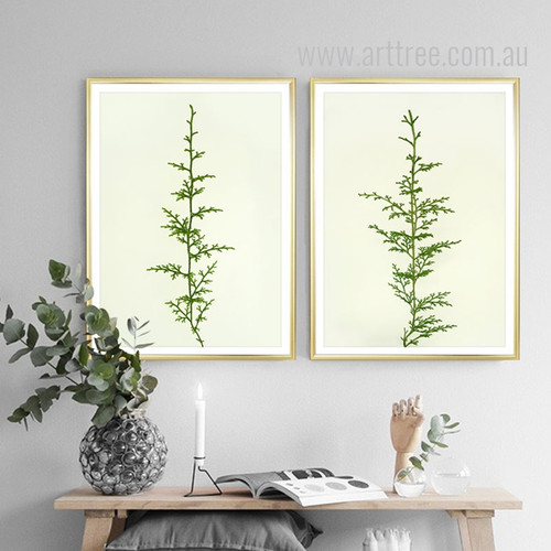 Minimal Green Ferns Plant Life Poster Prints