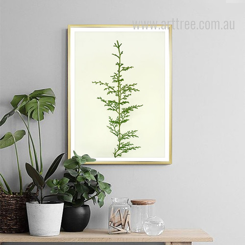 Fern Plant Life Canvas Print