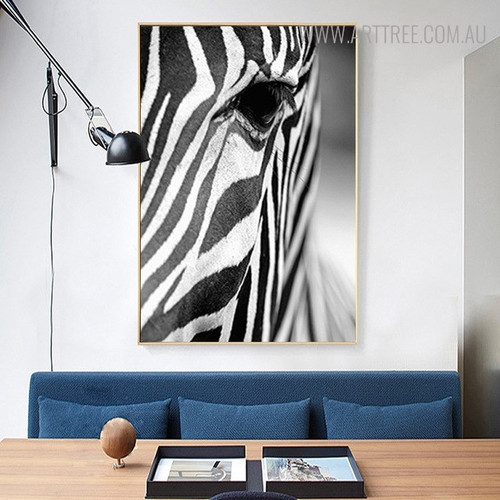 Wild Zebra Animal Wall Art