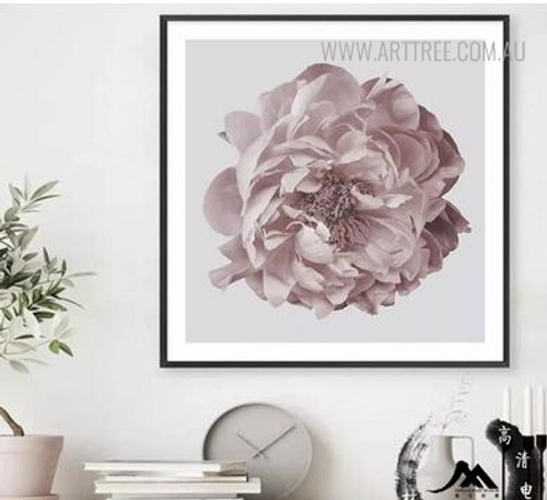 Pink Peony Modern Floral Painting Print for Study Room Decoration