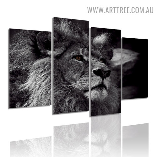 African Wild Cat Lion Animal Modern 5 Piece Large Canvas Wall Art Image Canvas Print for Room Illumination