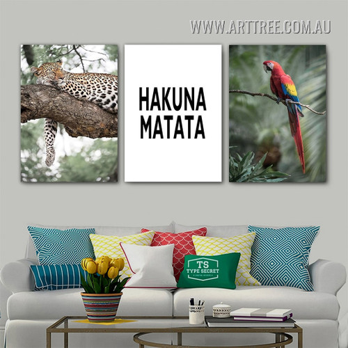 Hakuna Matata Macaw Parrot Modern Animal 3 Piece Framed Wall Art Photograph Typography Canvas Print for Room Arrangement