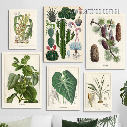 Various Plant Leafage Modern Buy Minimalist 6 Multi Panel Painting Set Photograph Botanical Print on Stretched Canvas for Wall Hanging Tracery