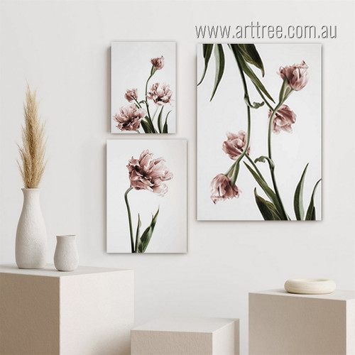 Pink Peonies Botanical Floral Scandinavian Painting Image Framed Stretched 3 Panel Canvas Prints Set for Room Garniture