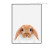Kawaii Brown Guinea Pig Animal Art