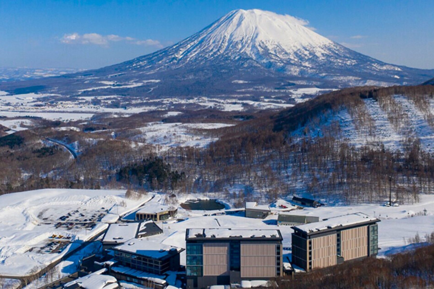 untitled-design-1-1-.jpg untitled-design-1-1-.jpg