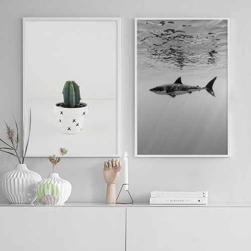 Shark, Cactus Plant - arttree.com.au