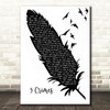 Damien Rice 9 Crimes Black & White Feather & Birds Song Lyric Wall Art Print