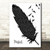 Ed Sheeran Perfect Black & White Feather & Birds Song Lyric Wall Art Print