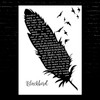 Boyce Avenue Blackbird Black & White Feather & Birds Song Lyric Music Art Print