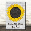Ball Park Music Exactly How You Are Grey Script Sunflower Song Lyric Art Print