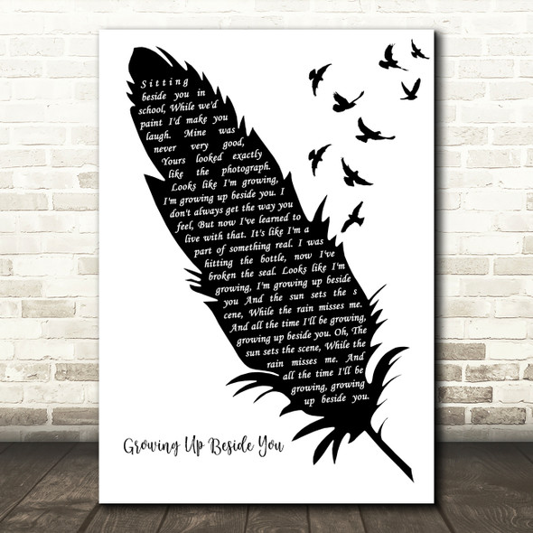 Paolo Nutini Growing Up Beside You Black & White Feather & Birds Song Lyric Art Print