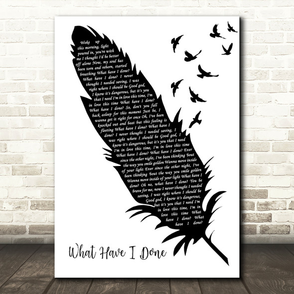 Dermot Kennedy What Have I Done Black & White Feather & Birds Song Lyric Print