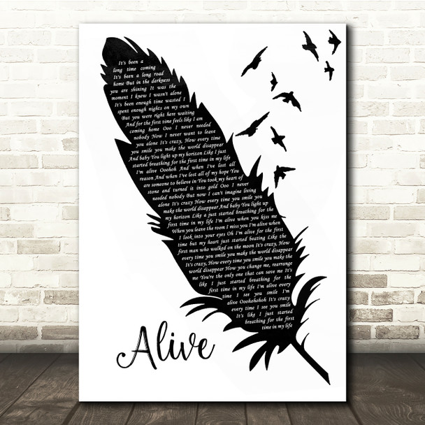 Darren Hayes Alive Black & White Feather & Birds Song Lyric Quote Music Print