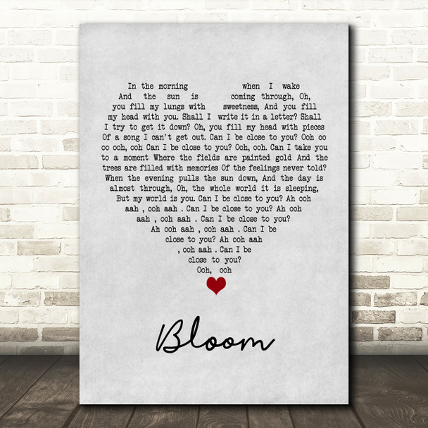 The Paper Kites Bloom Grey Heart Song Lyric Wall Art Print