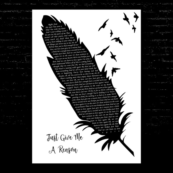 Pink Just Give Me A Reason Black & White Feather & Birds Song Lyric Music Art Print