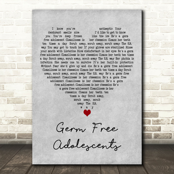 X-Ray Spex Germ Free Adolescents Grey Heart Decorative Wall Art Gift Song Lyric Print