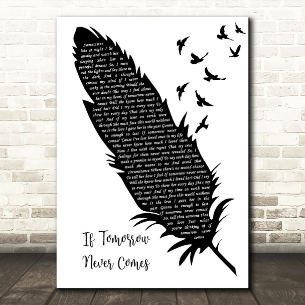 Ronan Keating If Tomorrow Never Comes Black & White Feather & Birds Wall Art Gift Song Lyric Print