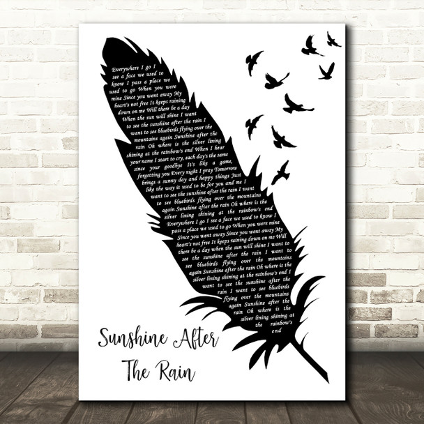 Elkie Brooks Sunshine After the Rain Black & White Feather & Birds Wall Art Gift Song Lyric Print