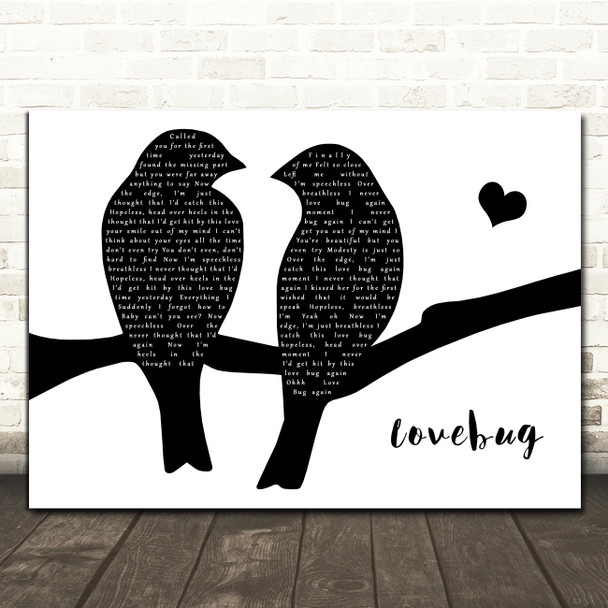 Jonas Brothers Lovebug Black & White Lovebirds Song Lyric Print