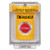 SS2244EM-ES STI Yellow Indoor/Outdoor Flush w/ Horn Momentary Stopper Station with EMERGENCY Label Spanish