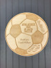 These 14" custom Soccer plaques are a unique way to thank your coach.  Add your team's name, level, all of your players names and a thank you to your coach!