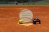 Engraved Coach's Baseball/Softball Plaque, 14" Birch Wood