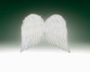 Wings 20" White Feather