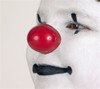/proface-clown-noses/