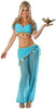 Arabian Nights Adult Sexy Costume 