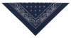 Paisley Bandana in Assorted Colors