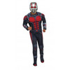 Antman Deluxe Adult Licensed Marvel