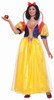 Golden Dream Princess Adult Costume 