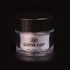 Glitter Dust Silver .25 oz