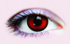 /dracula-collectible-novelty-lenses/