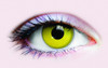 /raven-collectible-novelty-lenses/